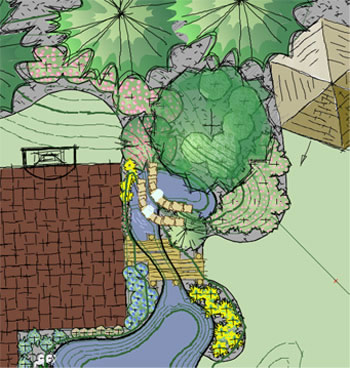 Backyard Plan